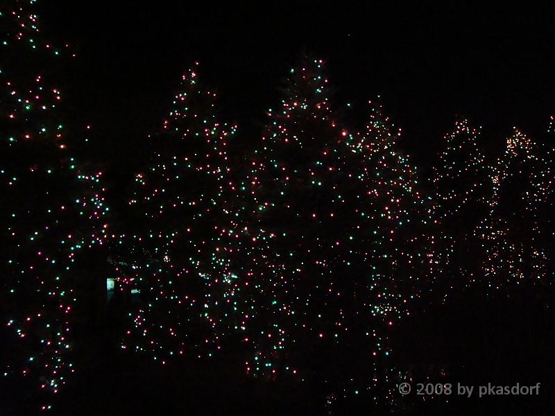 010 Toledo Zoo Light Show [2008 Dec 27].JPG - Scenes from the Toledo Zoo Light Show.